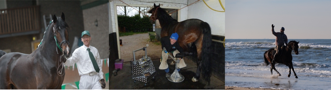 Hoefsmid in Waarland en omstreken. Bekappen en beslaan door hoefpecialist. Natuurlijk Bekappen.